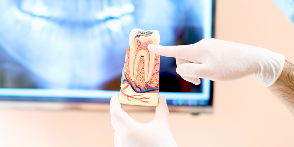 FEATURE05 再生療法・歯周外科治療にも対応